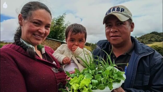 AICCA Colombia en números