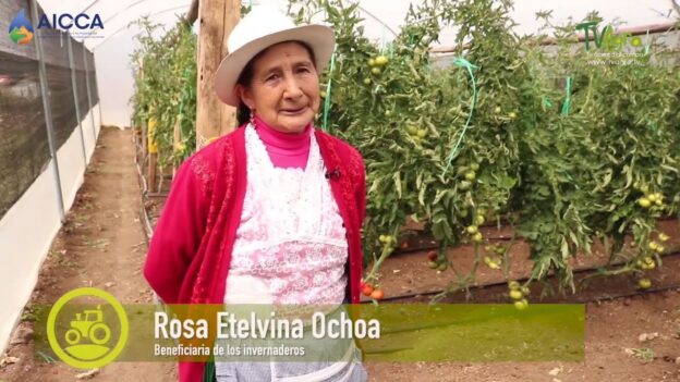 Invernaderos e hidroponía en la Cuenca del Río Machángara en la Región Azuay, Ecuador