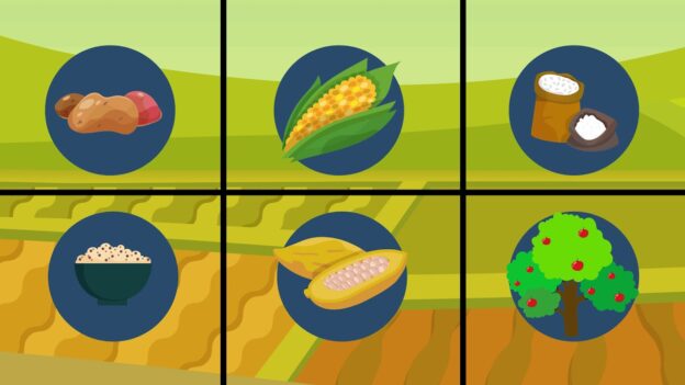 Servicios Agroclimáticos