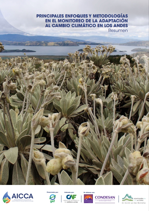 Principales enfoques y metodologías en el monitoreo de la adaptación al Cambio Climático en los Andes – Resumen